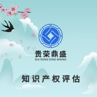 雅安市专利出资评估软著实缴评估商标价值评估知识产权评估